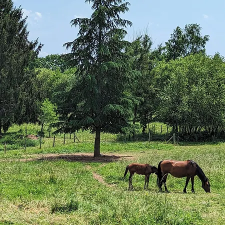 Chateau De Lavaud 3* Montbron